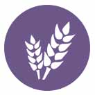 粮食饲料解决方案